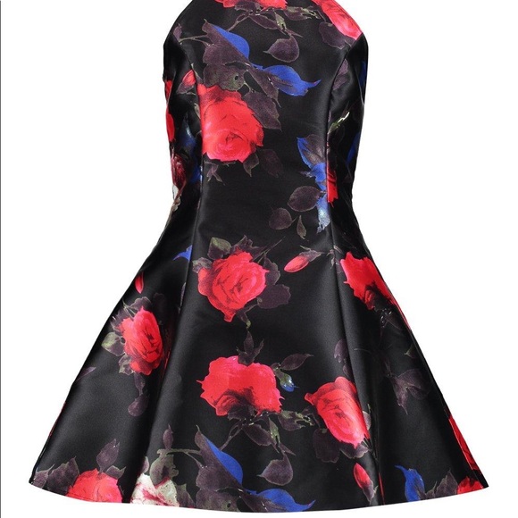 (5 items for $50) Boutique Joss High Neck Floral Skater Dress - Picture 4 of 4